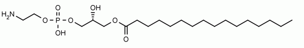 1-Palmitoyl-2-hydroxy-sn-glycero-3-phospho-ethanolamine (16:0 LPE) - Echelon Biosciences