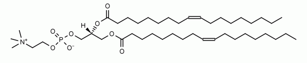 1,2-Dioleoyl-sn-glycero-3-phosphocholine (DOPC) - Echelon Biosciences