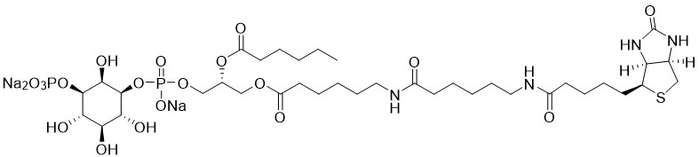 Biotin Phosphatidylinositol 3-phosphate - Echelon Biosciences