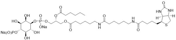 Biotin Phosphatidylinositol 4-phosphate - Echelon Biosciences