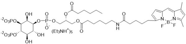 BODIPY FL PI(3,4)P2