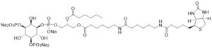 Biotin Phosphatidylinositol 3,5-bisphosphate - Echelon Biosciences