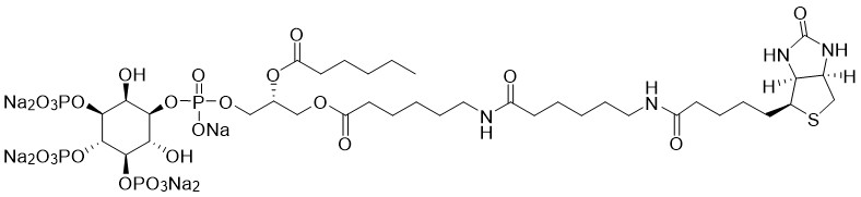 Biotin PI(3,4,5)P3 - Echelon Biosciences