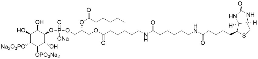 Biotin Phosphatidylinositol 4,5-bisphosphate - Echelon Biosciences