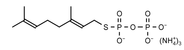 Geranyl S-Thiolodiphosphate (GSPP) - Echelon Biosciences