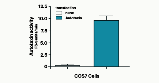 Autotaxin Activity Assay - Echelon Biosciences