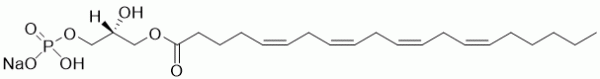Arachidonoyl LPA, 20:4 LPA - Echelon Biosciences