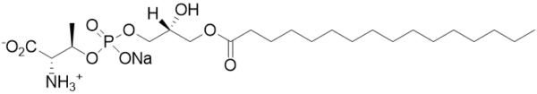 1-palmitoyl-2-hydroxy-sn-glycero-3-phospho-L-theronine (16:0 LPThr) - Echelon Biosciences