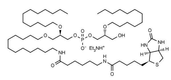 Biotin-(R,R)-2,2'-Bisdodecyl-LBPA (biotin-C12-ether LBPA) - Echelon Biosciences