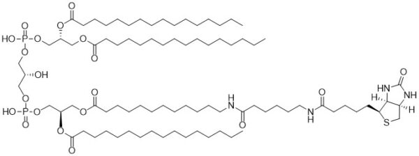 Biotin Cardiolipin - Echelon Biosciences