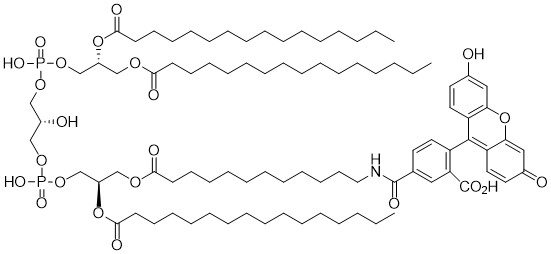 Fluorescein Cardiolipin - Echelon Biosciences