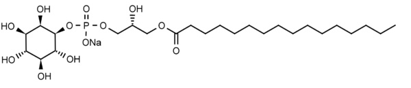 1-Palmitoyl-2-hydroxy-sn-glycero-3-phosphoinositol (LysoPI, 16:0 LPI) - Echelon Biosciences