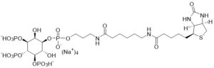 Ins(1,3,4,5)P4 Biotin - Echelon Biosciences