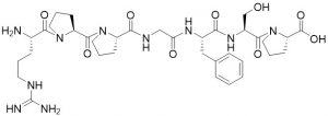 Bradykinin (1-7), CAS 23815-87-4 - Echelon Biosciences