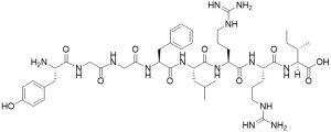 Dynorphin A (1-8), porcine - Echelon Biosciences