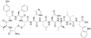 Endothelin Beta Receptor Antagonist IRL 1038 - Echelon Biosciences