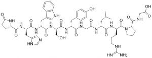LH-RH (Luteinizing hormone-releasing hormone) - Echelon Biosciences
