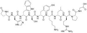LH-RH [D-Lys6] Free Acid -Echelon Biosciences