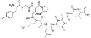Pneumadin, rat - Echelon Biosciences