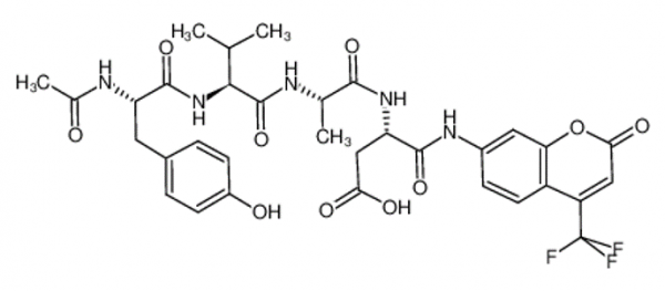 Caspase 1 (ICE) Substrate, fluorogenic (CAS 219137-85-6), Ac-YVAD-AFC - Echelon Biosciences