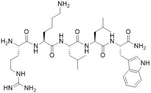 Cathepsin L Inhibitor (RKLLW-NH2) - Echelon Biosciences