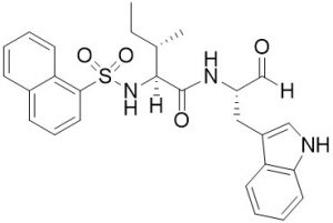 Cathepsin L inhibitor - Echelon Biposciences Inc.