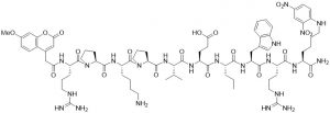 NFF-3 (MMP-3 Substrate) - Echelon Biosciences