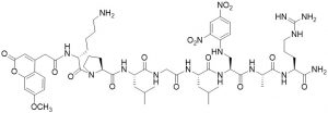 MCA-Lys-Pro-Leu-Gly-Leu-Dap(DNP)-Ala-Arg-NH2 (MMP Substrate) - Echelon Biosciences