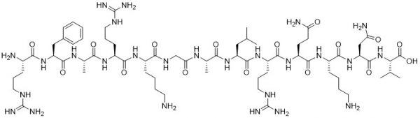 Protein Kinase C (19-31) - Echelon Biosciences