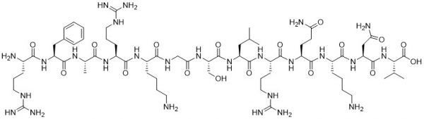 [Ser25] Protein Kinase C Substrate (19-31) - Echelon Biosciences