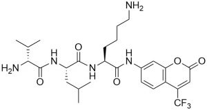 D-Val-Leu-Lys-AFC (Plasmin Substrate, fluorogenic) - Echelon Biosciences