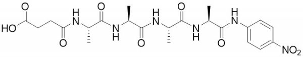 Suc-Ala-Ala-Ala-Ala-pNA (neutrophil elastase substrate) - Echelon Biosciences