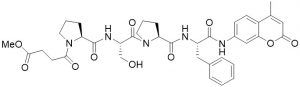 Methoxysuccinyl-Pro-Ser-Pro-Phe-AMC - Echelon Biosciences