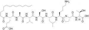 PKC Isoenzyme Inhibitor (myristoylated) - Echelon Biosciences
