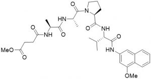 MeOSuc-Ala-Ala-Pro-Val-4MbNA (Pancreatic Elastase Substrate - Echelon Biosciences