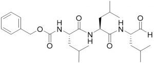 MG-132 Proteasome Inhibitor (CAS 133407-82-6) - Echelon Biosciences