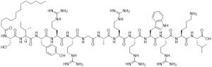 PKC Pseudosubstrate Inhibitor (PKC zeta inhibitor)- Echelon Biosciences