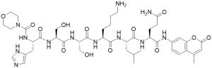 Prostate Specific Antigen Substrate - Echelon Biosciences