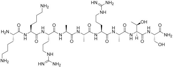 Myosin Light Chain Kinase (11-19) amide - Echelon Biosciences