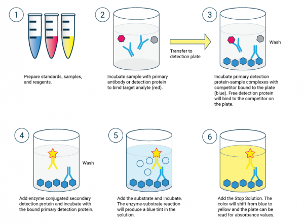 what-is-a-competitive-elisa-echelon-biosciences