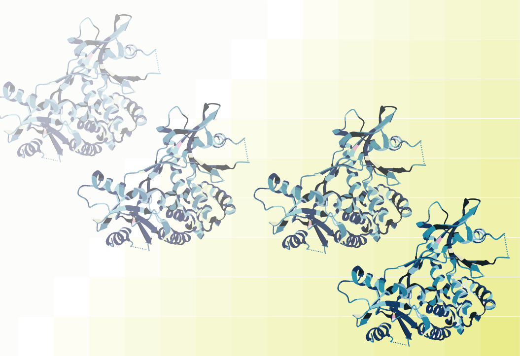 Echelon Bioscience - lipid-dependent activation of STING