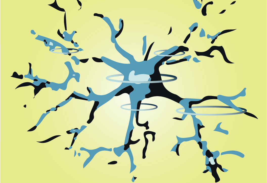 Dissecting microglia to identify new targets in Alzheimer's disease (INPP5D) - Echelon Biosciences