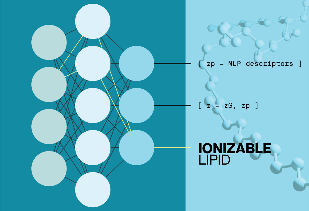 Deep learning networks identify novel ionizable lipids - Echelon Biosciences