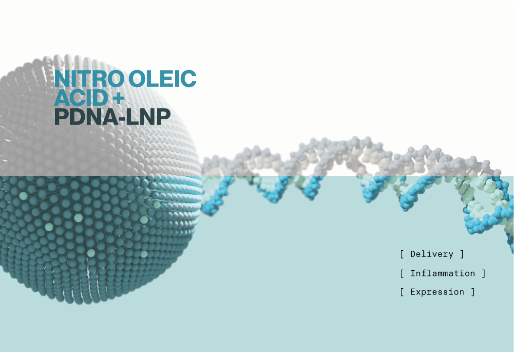 Addition of anti-inflammatory lipids may alleviate immune activation from pDNA-LNPs - Echelon Biosciences